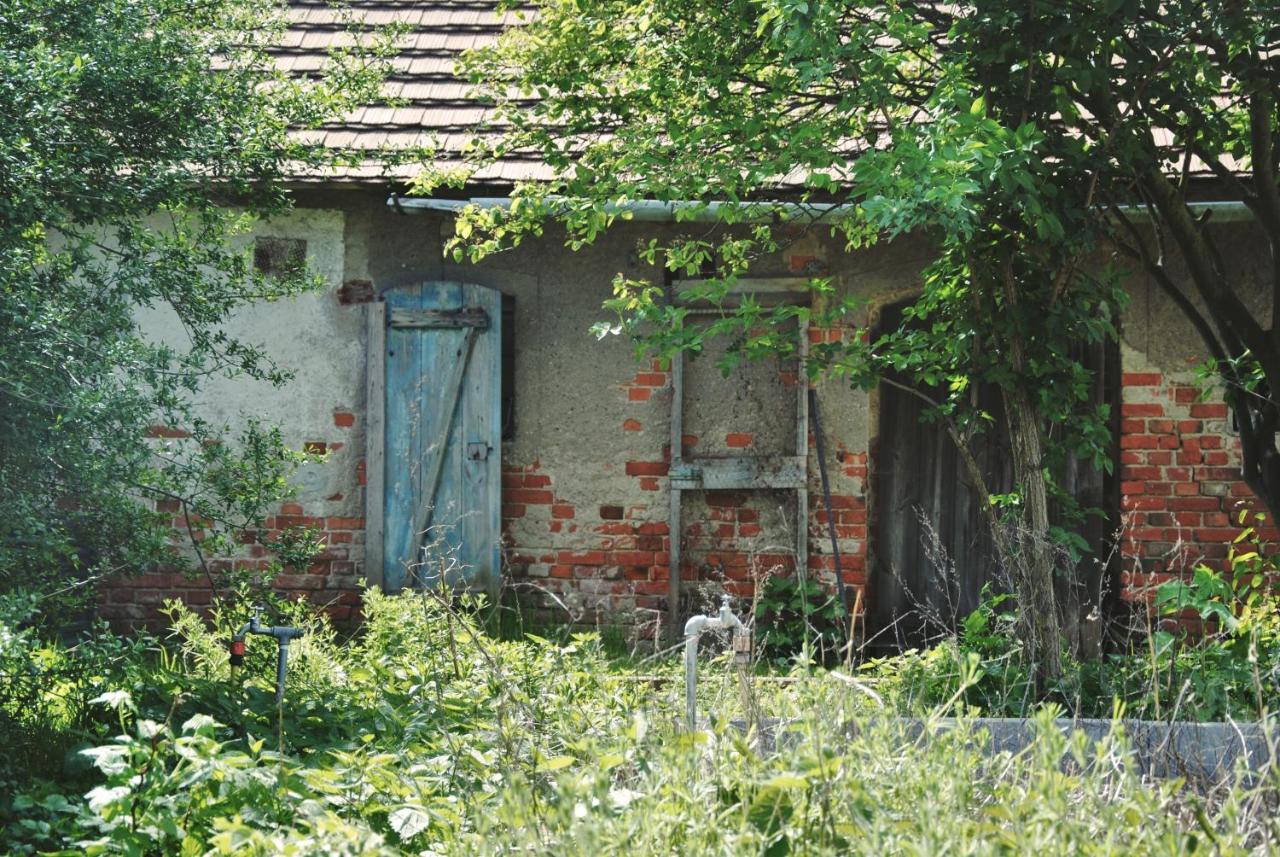 Ferienhaus Erna Vila Doberlug-Kirchhain Exterior foto